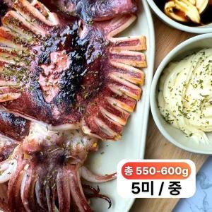 [국내원양]짜지않고 촉촉한 몰먹지 반건조오징어 중 5미- 구룡포 해풍 최상급 피데기