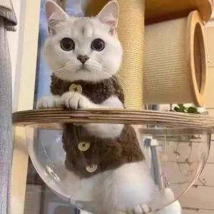 [아우트]고양이후리스 강아지옷 방한 겨울옷