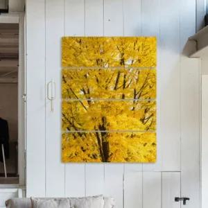 아트박스 꾸밈 nk734-멀티아크릴액자_가을의은행나무 4단대형)