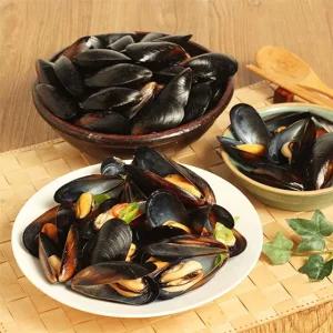 [양식장 당일채취발송] 생홍합 5kg(실중량)