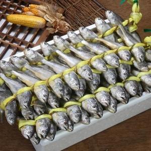 영광 굴비 실속세트  20미 1.9~2.0kg