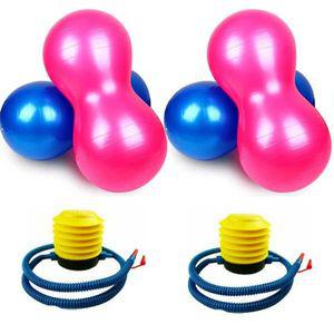 [NS홈쇼핑]땅콩 짐볼 2개 펌프 포함 세트 실내 스트레칭[30472240]