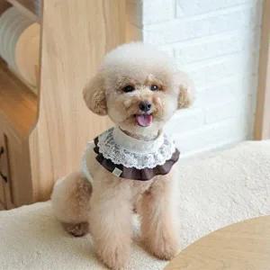 [셀러허브 패션][JHP1Q72T_51CM]고양이케이프 강아지케이프 아이보리도트