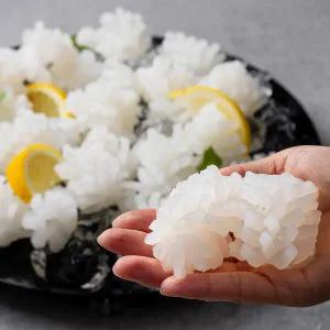 냉동 손질 칼집 솔방울 오징어 1kg