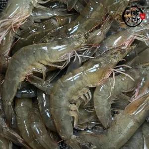 미각기행 제철 대박 활 흰다리 왕새우 3kg(96미 내외)
