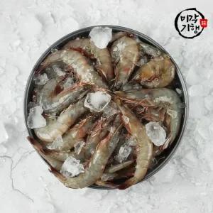 미각기행 제철 대박 활 흰다리 왕새우 2kg(64미 내외)