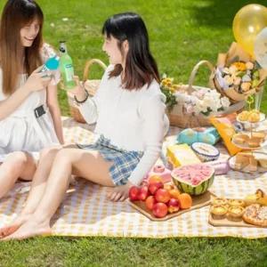 돗자리 방수 피크닉 매트 휴대용 캠핑 대형 나들이 체크 (WFJ7ON5)