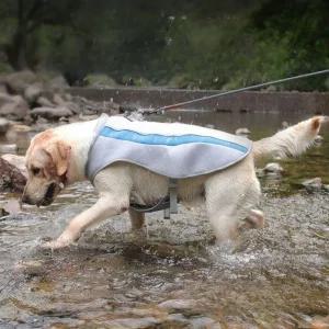 대형견 쿨조끼 강아지 쿨링조끼 반사 러프웨어 시원한 매트 쿨티 아이스팩 여름 아트박스이룸