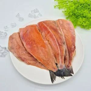 동해안 두절 바다송어 대 260g내외 1미