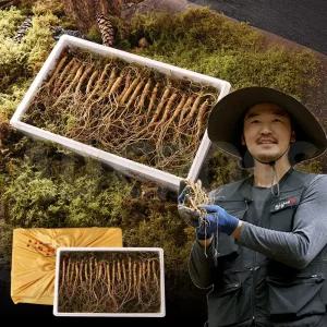 김성태 진삼애 강원도 산양삼 사포닌 산양 삼 산삼 인삼 수삼 산양삼 산양산삼 5-6년근 20뿌리 선물세트