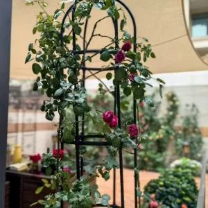 정원 소품 넝쿨 아치형 지지대 철제 울타리 장미 식물
