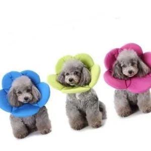 플라워 넥카라S(그린) 음방지 긁기방지 애견 강아지 고양이 깔대기 반려견