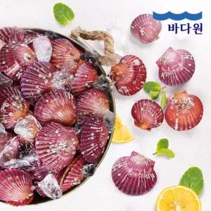 [바다원] 산지직송 국내산 제철 홍가리비 2kg (약 40-44미)