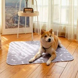 [콩심팥심]쿨샵 빨아쓰는 강아지 배변패드 논슬립 반려견 배변판