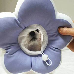 [콩심팥심]꽃피는 강아지 고양이 쿠션 넥카라 퍼플 M 깔대기