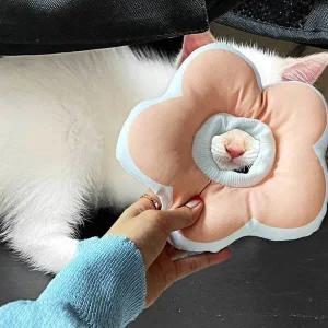 [콩심팥심]꽃피는 강아지 고양이 쿠션 넥카라 핑크 S 강아지