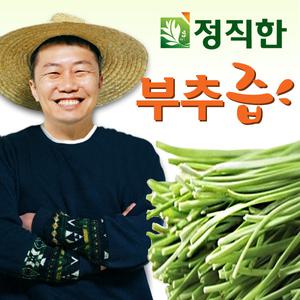 정직한건강즙 국내산 노지 부추즙 110ml 60포
