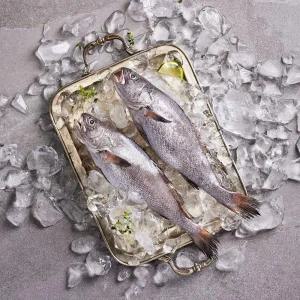 [우리참바다] 국내산 반건조 특대 통민어 300g×10마리+반건조 편민어 200g×2마리