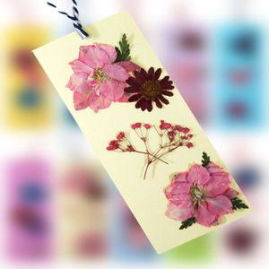 압화 책갈피 만들기세트(크림색) 압화재료 꽃책갈피 만들기재료