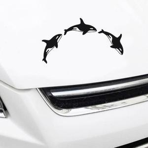 [BZF71J2L_51C0]희망S 범고래 차량용스티커 / 자동차