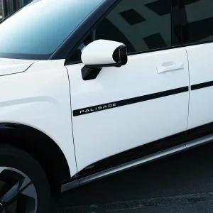 2025 신형 팰리세이드 LX3 도어 가드 문콕 충격 방지 차 패드