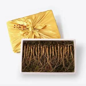 진삼애 강원도 김성태 산양삼 5~6년근 20뿌리 산양산삼 자연산 추석선물