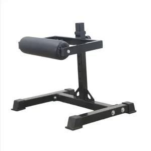 스플릿스쿼트 싱글 레그 운동 스쿼트 다리 허벅지