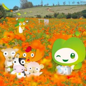 안성팜랜드 입장권