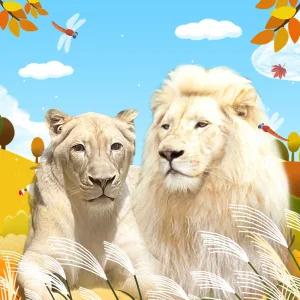 [대구] 네이처파크 입장권/경북/동물원/테마파크/놀이공원/가볼만한곳/체험/대구여행/아이와함께