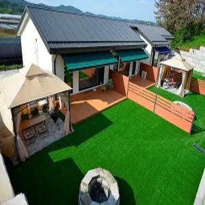 [충남] 개꿀잠(충남, 태안)