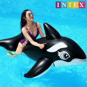[인텍스] 58561 돌고래 튜브/보트/풀장/물놀이튜브//용품