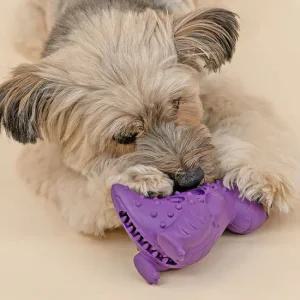 네추라너리쉬 티렉스 덴탈트릿 강아지 노즈워크 이갈이 분리불안 장난감 + 간식 리필 8P