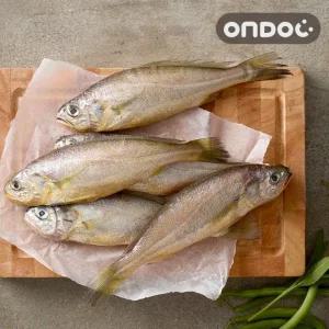 [온도씨]국내산 제주 참조기 20마리 (중/4팩/팩당5마리/마리당80g내외)