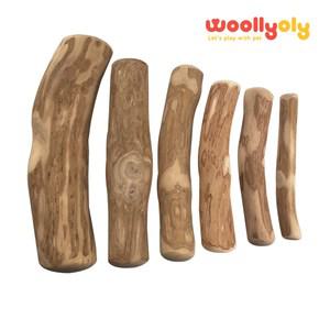 [울리올리]울리올리 커피나무 우드스틱 이갈이