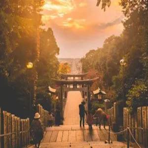 [부산][온천 1박+접근성 좋은 시내 1박]유후인/벳푸/쿠로가와/후쿠오카 규슈 3일