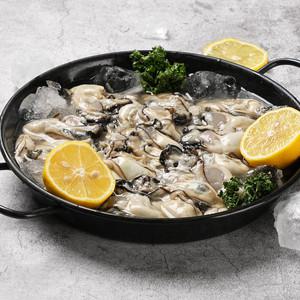 통영 당일 작업 최상급 싱싱한 생굴 1Kg (중굴, 소굴)