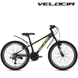 2025 벨로시아 알루미늄 MTB 자전거 크라이저2.1V 24인치 시마노21단 무료조립