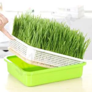 새싹채소 재배기 새싹보리화분 배양채반 물받이판 씨앗재배판 발아 씨앗배양 야채재배기 보온 덮개 수경재