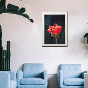 [RG33O952]모든액자 a2 4803 포스터 매장상품홍보 4x6액자