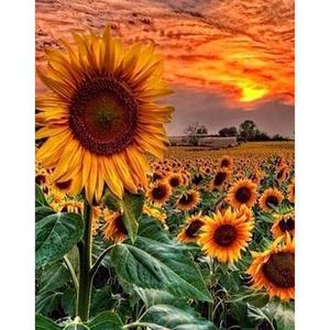 [RGL5513U]들판 해바라기 캔버스 보석십자수 40x50