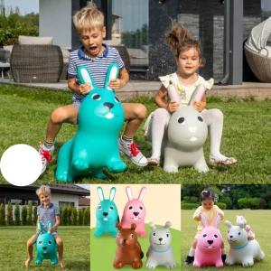 호핑 볼 통통 점핑 목마 말타기 버니 퍼피 컬러 칼라 짐볼 놀이