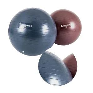 [베프몰]프리미엄 DAKOUEFU 밸런스 대형 운동 안티 버스트 짐볼 75cm