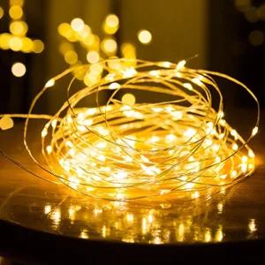 LED 와이어 전구 파티 가랜드 꾸미기 조명 웜화이트2M