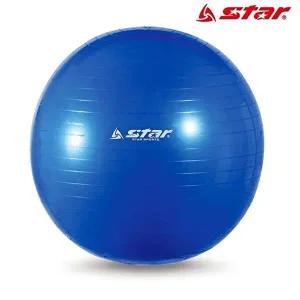 [셀러허브 패션][JHQRMT5P_4B]짐볼 55cm 마사지짐볼 (블루)