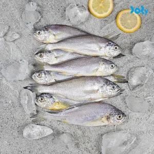 밥도둑 반건조 녹동참조기 500g (8-10미)