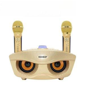 미니 휴대용 집들이 핑크 펜션 노래방기계 노래방기기 마이크 기계 반주기