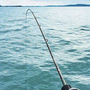 다운샷 낚시대 카본 지깅 초경량 낚시대 바다릴-WFH3090