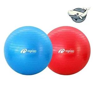 운동용 다기능 피트니스볼 요가짐볼 필라테스볼-WFGUZ4K