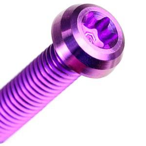 M5 티타늄 25MM 10 TORX P0 16 자전거 12 T25 14 나사 여러 GR5 색상 PC 8MM 브레이크 디스크 20 합금