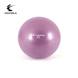 아이워너 안티버스트 짐볼 65cm 라일락 운동 근력